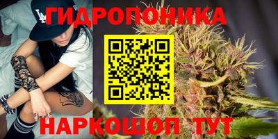 скорость Кандалакша