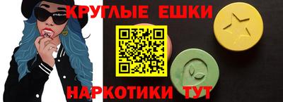 гашик Камышлов