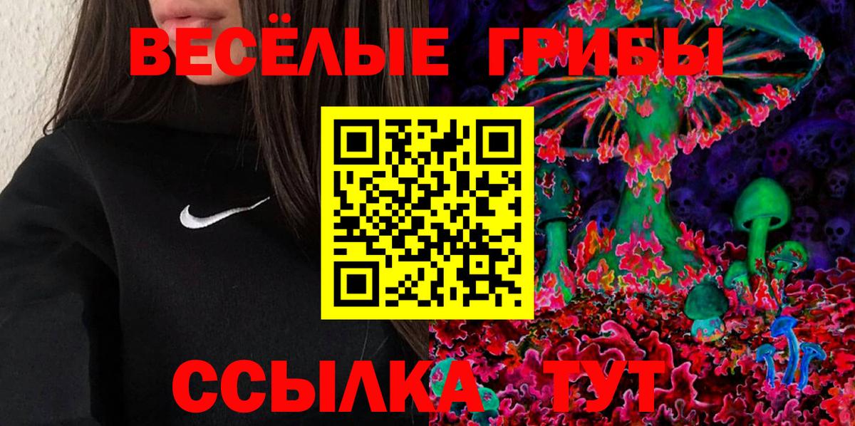 Тара  Галлюциногенные грибы мухоморы  Вход с VPN 